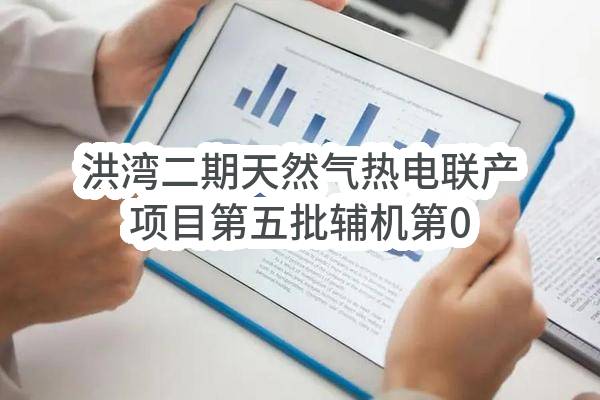 洪湾二期天然气热电联产项目第五批辅机第01包：国产阀门（一）设备招标项目招标公告