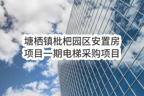 杭州临平运河综合保护开发建设有限公司塘栖镇枇杷园区安置房项目一期电梯采购项目