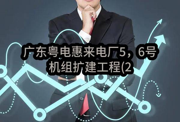 广东粤电惠来电厂5，6号机组扩建工程(2×1000MW)第三批辅机设备（第3包：发电机-变压器组，启动备用变压器微机型保护装置，母线保护及故障录波）采购