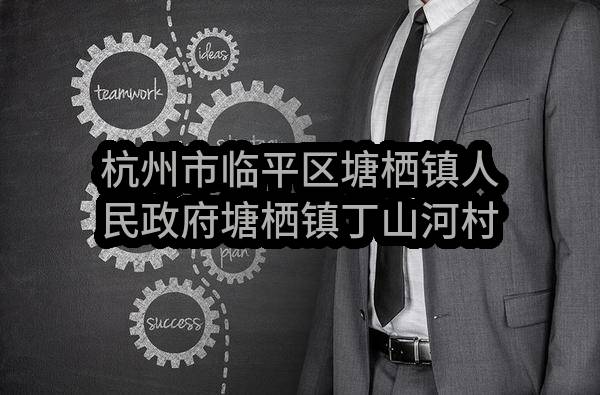 杭州市临平区塘栖镇人民政府塘栖镇丁山河村数字乡村样板村建设项目项目