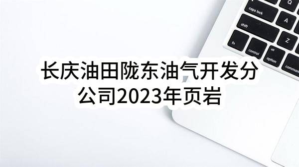 长庆油田陇东油气开发分公司2023年页岩油产能建设项目组后勤管理服务项目