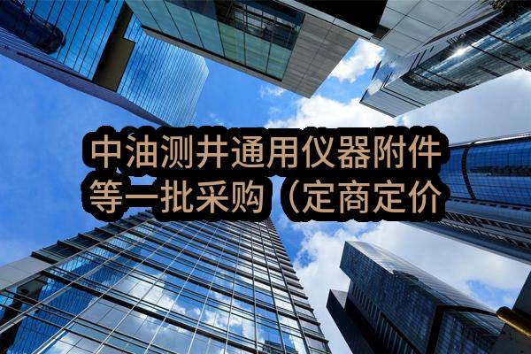 中油测井通用仪器附件等一批采购（定商定价）