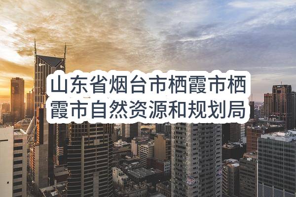 山东省烟台市栖霞市栖霞市自然资源和规划局进山路口检查站配建视频监控设施项目招标公告
